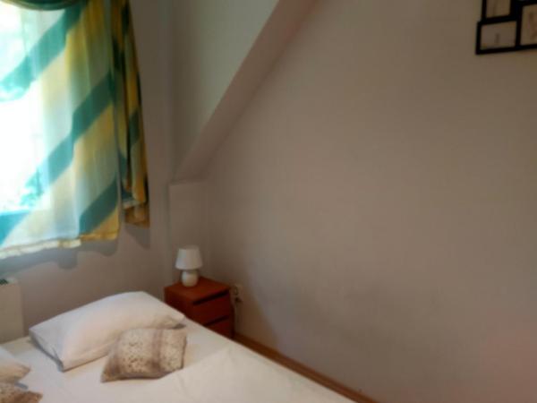 Hostel Madeira : photo 4 de la chambre chambre familiale - vue sur jardin