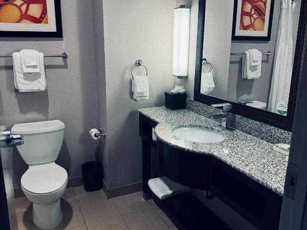 Holiday Inn Houston West - Westway Park, an IHG Hotel : photo 1 de la chambre chambre standard avec 2 lits queen-size
