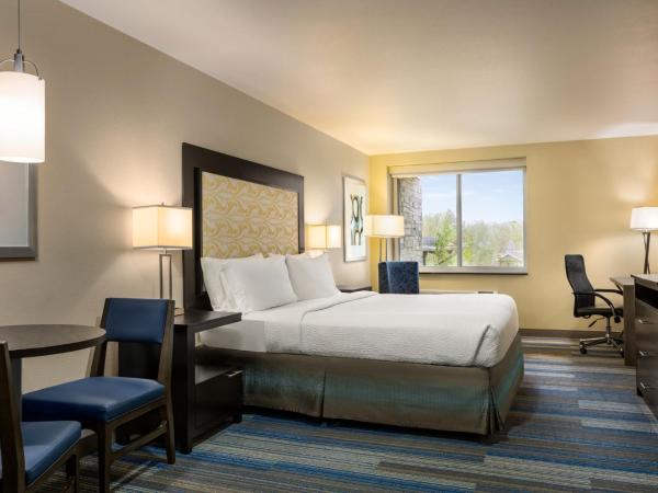 Holiday Inn Express & Suites Colorado Springs Central, an IHG Hotel : photo 5 de la chambre chambre lit king-size standard