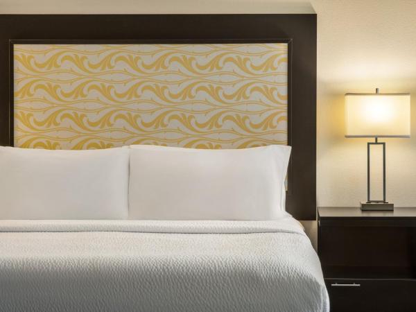 Holiday Inn Express & Suites Colorado Springs Central, an IHG Hotel : photo 4 de la chambre suite lit king-size avec canapé-lit