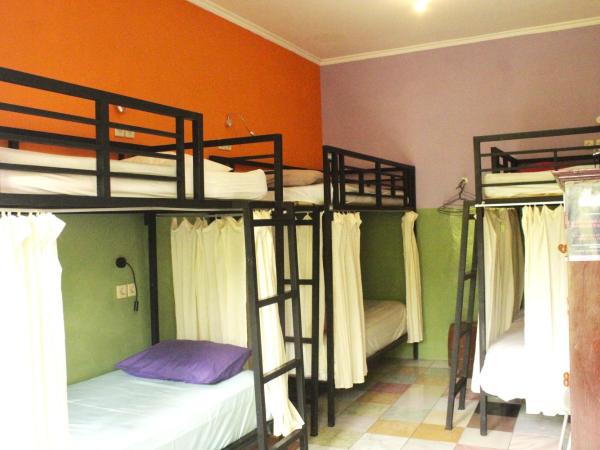 ViaVia Guesthouse : photo 4 de la chambre lit superposé dans dortoir mixte