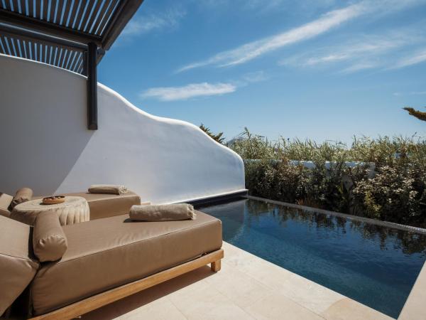 Asty Mykonos Hotel & Spa - World of One Hotel Group : photo 2 de la chambre chambre double supérieure avec piscine privée