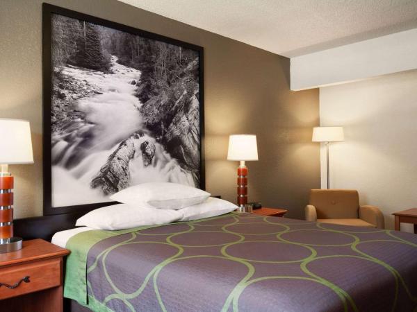 Super 8 by Wyndham Colorado Springs/Afa Area : photo 3 de la chambre chambre lit queen-size - non-fumeurs
