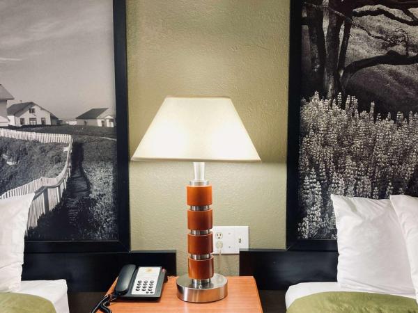 Super 8 by Wyndham Colorado Springs/Afa Area : photo 2 de la chambre chambre 2 lits queen-size - non-fumeurs