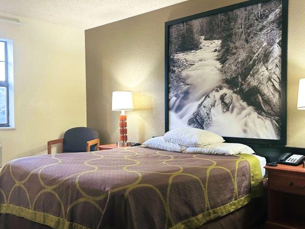 Super 8 by Wyndham Colorado Springs/Afa Area : photo 1 de la chambre chambre lit queen-size - non-fumeurs