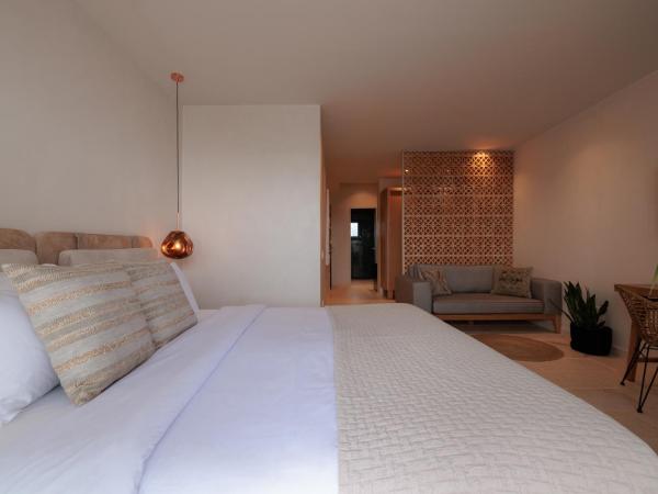 Asty Mykonos Hotel & Spa - World of One Hotel Group : photo 3 de la chambre chambre double supérieure avec piscine privée - vue sur mer