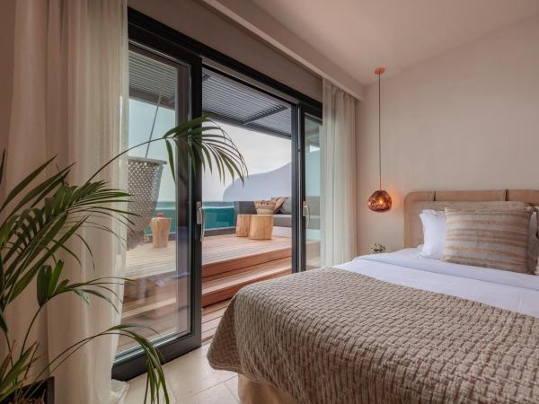 Asty Mykonos Hotel & Spa - World of One Hotel Group : photo 1 de la chambre chambre double supérieure avec piscine privée - vue sur mer