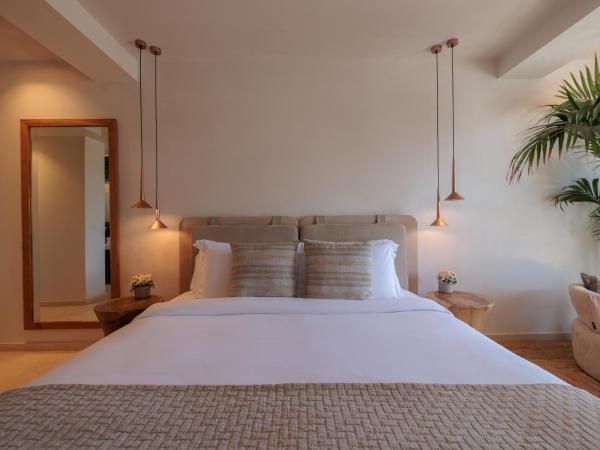 Asty Mykonos Hotel & Spa - World of One Hotel Group : photo 4 de la chambre chambre double supérieure avec piscine privée