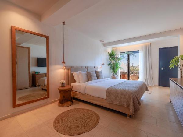 Asty Mykonos Hotel & Spa - World of One Hotel Group : photo 1 de la chambre chambre double supérieure avec piscine privée