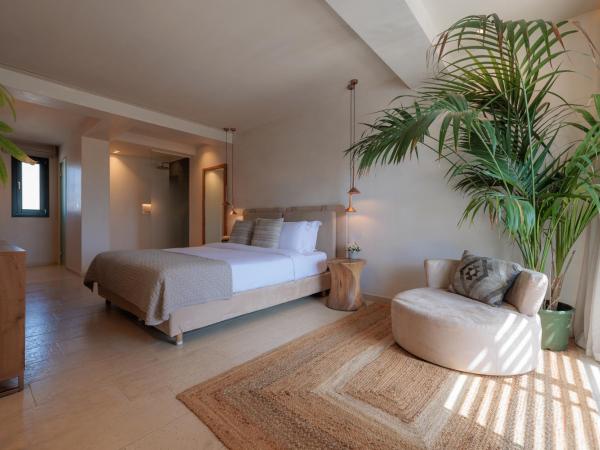 Asty Mykonos Hotel & Spa - World of One Hotel Group : photo 7 de la chambre chambre double supérieure avec piscine privée