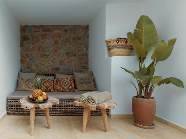 Asty Mykonos Hotel & Spa - World of One Hotel Group : photo 6 de la chambre suite amis & famille 2 chambres avec piscine privée