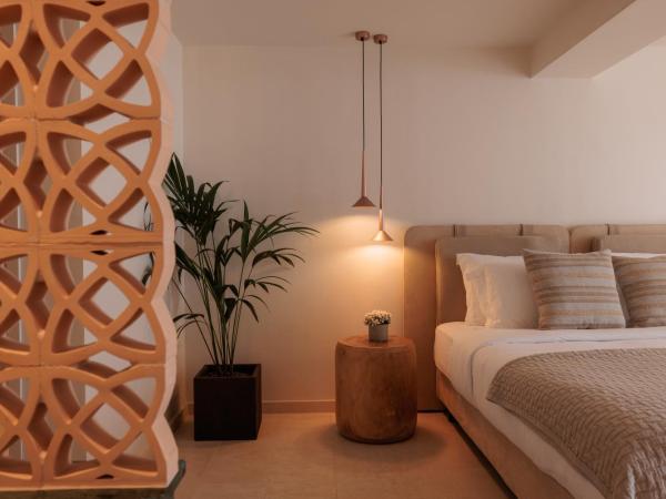 Asty Mykonos Hotel & Spa - World of One Hotel Group : photo 4 de la chambre suite amis & famille 2 chambres avec piscine privée