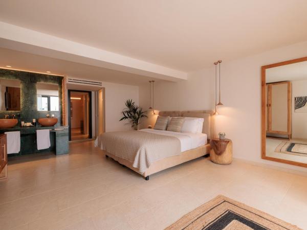 Asty Mykonos Hotel & Spa - World of One Hotel Group : photo 1 de la chambre suite amis & famille 2 chambres avec piscine privée