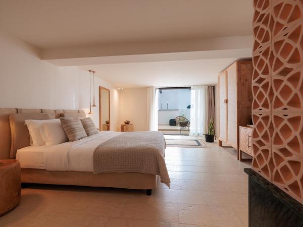 Asty Mykonos Hotel & Spa - World of One Hotel Group : photo 2 de la chambre suite amis & famille 2 chambres avec piscine privée