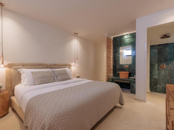 Asty Mykonos Hotel & Spa - World of One Hotel Group : photo 2 de la chambre maisonnette supérieure avec petite piscine