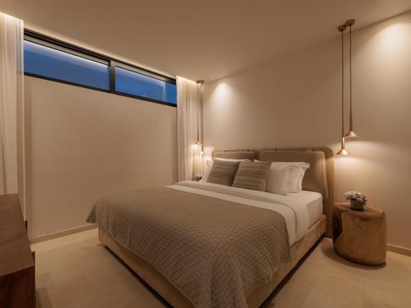 Asty Mykonos Hotel & Spa - World of One Hotel Group : photo 6 de la chambre maisonnette supérieure avec petite piscine