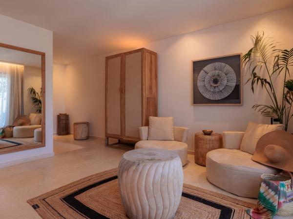 Asty Mykonos Hotel & Spa - World of One Hotel Group : photo 7 de la chambre maisonnette supérieure avec petite piscine