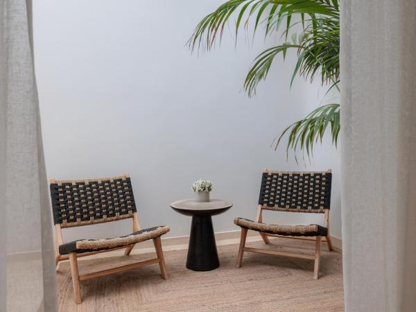 Asty Mykonos Hotel & Spa - World of One Hotel Group : photo 8 de la chambre maisonnette asty avec piscine privée