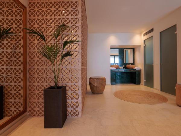 Asty Mykonos Hotel & Spa - World of One Hotel Group : photo 6 de la chambre maisonnette asty avec piscine privée