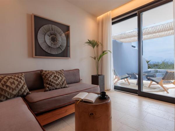 Asty Mykonos Hotel & Spa - World of One Hotel Group : photo 5 de la chambre maisonnette asty avec piscine privée