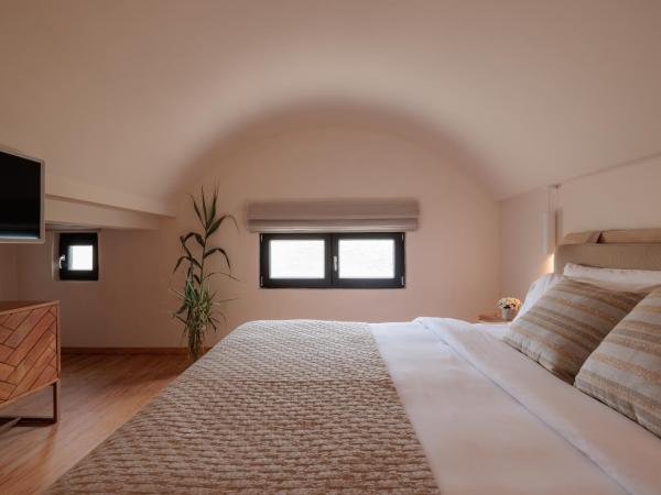 Asty Mykonos Hotel & Spa - World of One Hotel Group : photo 5 de la chambre suite loft asty 2 chambres avec piscine privée