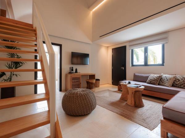 Asty Mykonos Hotel & Spa - World of One Hotel Group : photo 4 de la chambre suite loft asty 2 chambres avec piscine privée