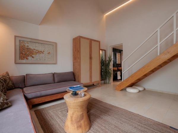 Asty Mykonos Hotel & Spa - World of One Hotel Group : photo 3 de la chambre suite loft asty 2 chambres avec piscine privée