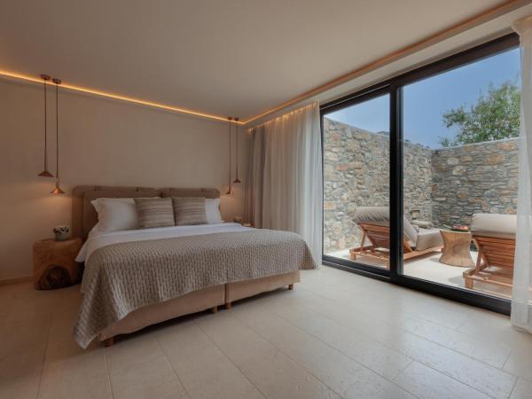Asty Mykonos Hotel & Spa - World of One Hotel Group : photo 1 de la chambre suite loft asty 2 chambres avec piscine privée