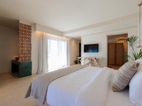 Asty Mykonos Hotel & Spa - World of One Hotel Group : photo 5 de la chambre suite principale avec piscine privée - vue sur mer