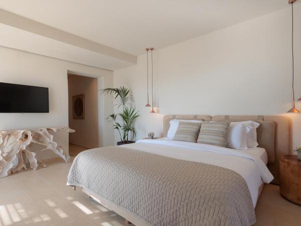 Asty Mykonos Hotel & Spa - World of One Hotel Group : photo 1 de la chambre suite principale avec piscine privée - vue sur mer