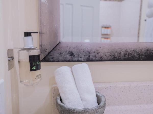 ByWard Blue Inn : photo 7 de la chambre chambre lits jumeaux avec balcon