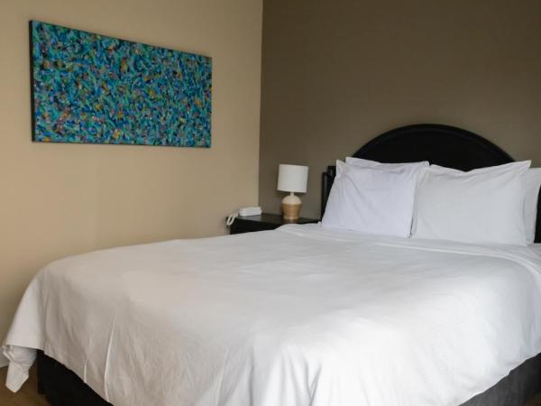 ByWard Blue Inn : photo 1 de la chambre chambre standard lit queen-size