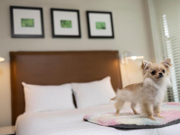 Oswego Hotel : photo 6 de la chambre suite studio