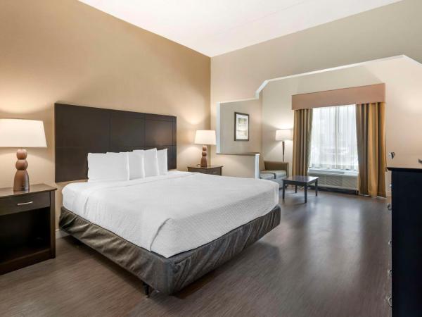 Best Western Suites Columbus : photo 4 de la chambre suite lit king-size - douche accessible en fauteuil roulant