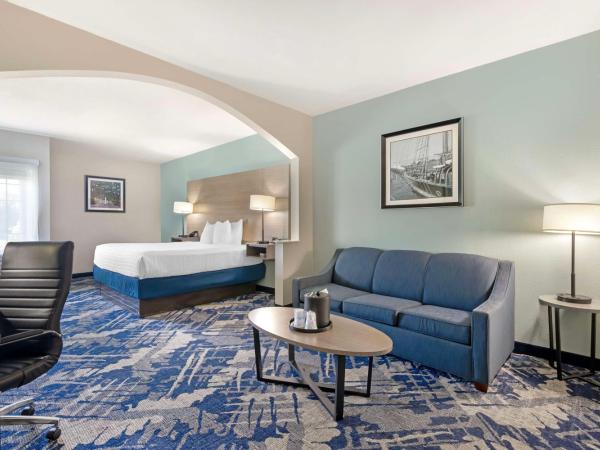 Best Western Plus Savannah Airport Inn and Suites : photo 1 de la chambre suite lit king-size – non-fumeurs