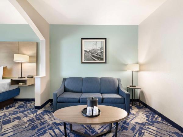 Best Western Plus Savannah Airport Inn and Suites : photo 2 de la chambre suite lit king-size – non-fumeurs