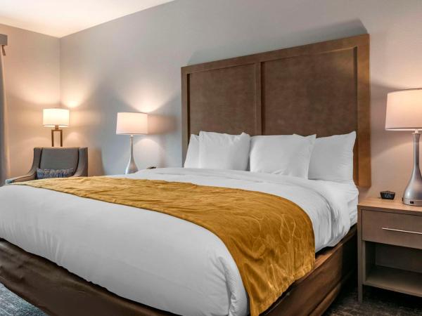 Comfort Inn & Suites Jacksonville - Orange Park Near Naval Air Station : photo 1 de la chambre chambre lit king-size standard - non-fumeurs
