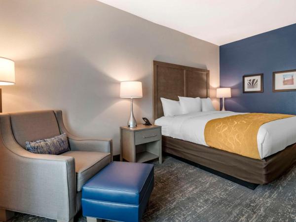 Comfort Inn & Suites Jacksonville - Orange Park Near Naval Air Station : photo 3 de la chambre chambre lit king-size standard - non-fumeurs