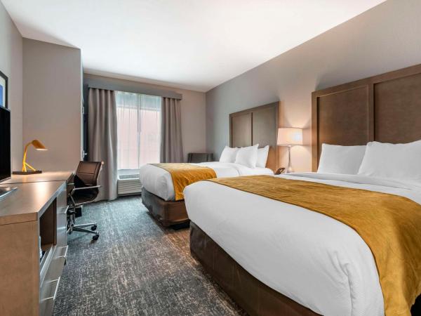 Comfort Inn & Suites Jacksonville - Orange Park Near Naval Air Station : photo 2 de la chambre chambre standard avec 2 lits queen-size - non-fumeurs 