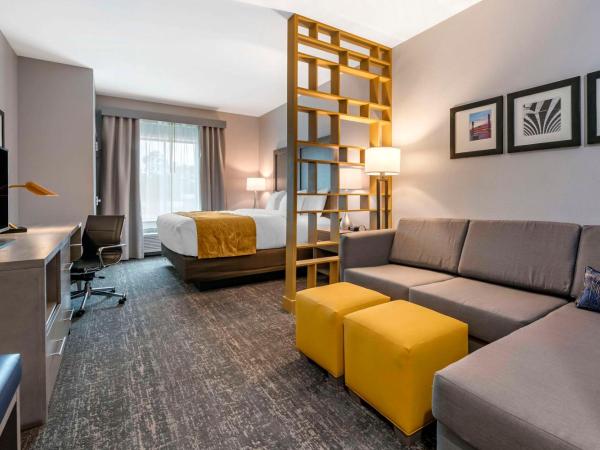 Comfort Inn & Suites Jacksonville - Orange Park Near Naval Air Station : photo 3 de la chambre suite lit king-size - non-fumeurs