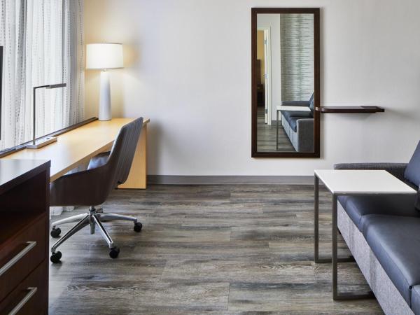 Residence Inn Atlanta Perimeter Center Dunwoody : photo 5 de la chambre studio lit king-size deluxe