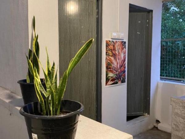 Rope Walk Guest House : photo 5 de la chambre chambre double supérieure