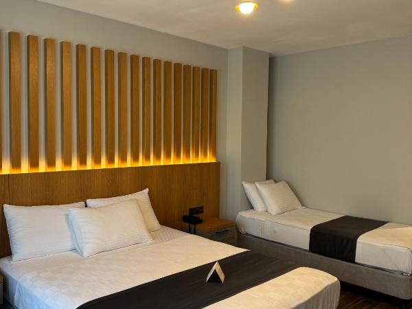 The Rest Port Argento : photo 1 de la chambre chambre triple - vue sur jardin