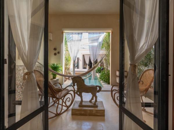Casa Sirena - oasis en el centro histórico : photo 8 de la chambre villa - vue sur jardin
