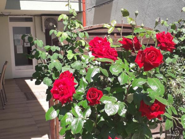 Orchidea II : photo 2 de la chambre appartement avec balcon