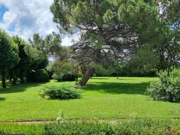 Bergerac Chambres d'hôtes Ibis d'or : photo 7 de la chambre chambre lits jumeaux - vue sur jardin