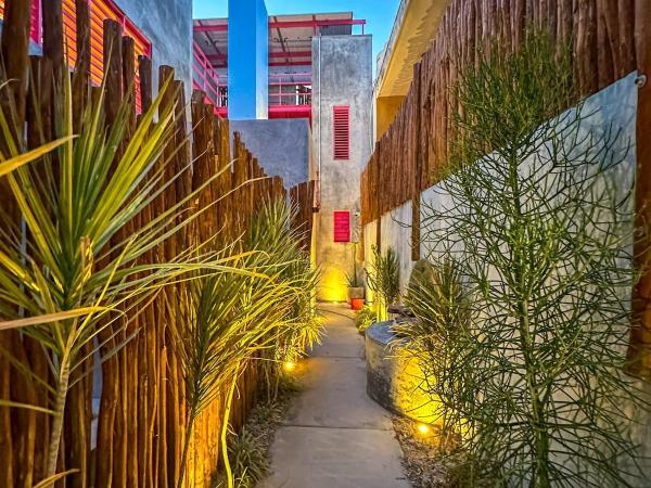 Room Kaua hermoso departamento para relajarse : photo 4 de la chambre appartement