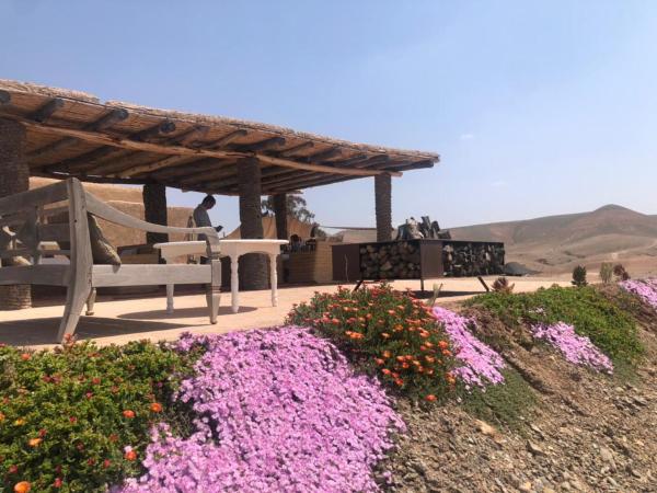 La Pause Agafay - Adults Only : photo 6 de la chambre chambre lit king-size