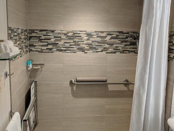 Hyatt Regency Dallas : photo 4 de la chambre chambre lit king-size pour personnes à mobilité réduite avec douche accessible aux personnes à mobilité réduite