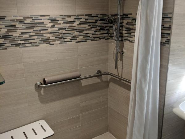 Hyatt Regency Dallas : photo 3 de la chambre chambre lit king-size pour personnes à mobilité réduite avec douche accessible aux personnes à mobilité réduite